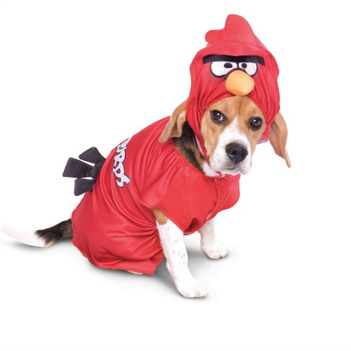 2017-2018 Dog Costumes