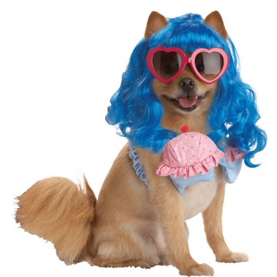 Celebrity Inspired Dog Costumes