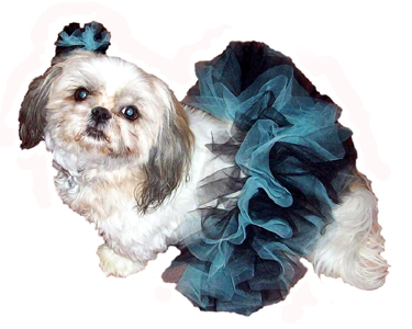 Abbey Dog Tutu