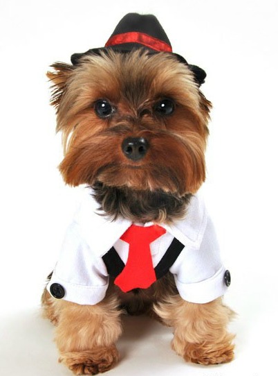 Gangster Halloween Dog Costume