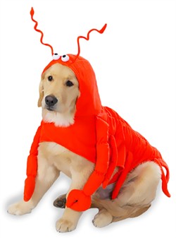 Lobster Dog Costume