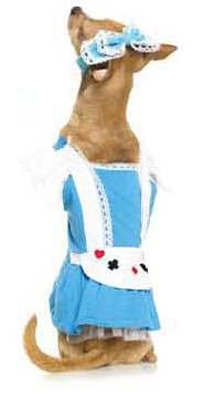 Alice In Wonderland Maid Halloween Dog Costume
