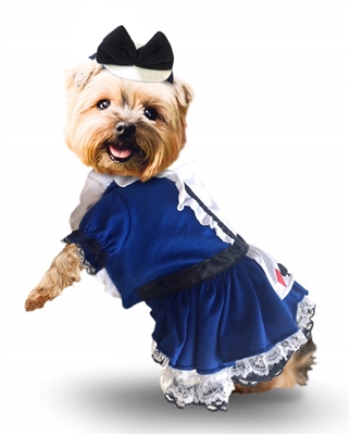 Alice In Wonderland Costumes For Dogs
