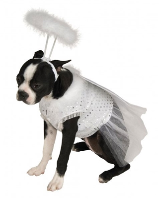 Angel Costume For Dogs