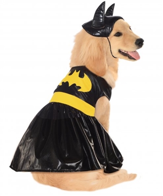 Batgirl Costume For Dogs