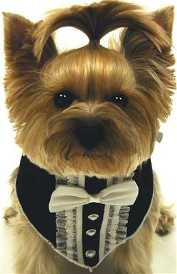 Black and White Tuxedo Dog Bandana