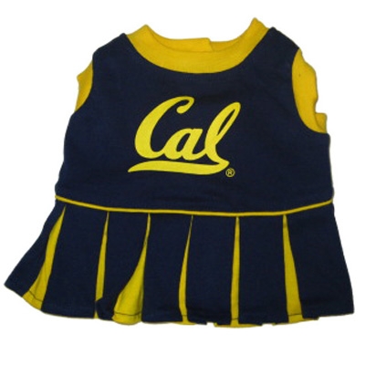 Black and Yellow Cal Berkeley Dog Cheerleader Costume