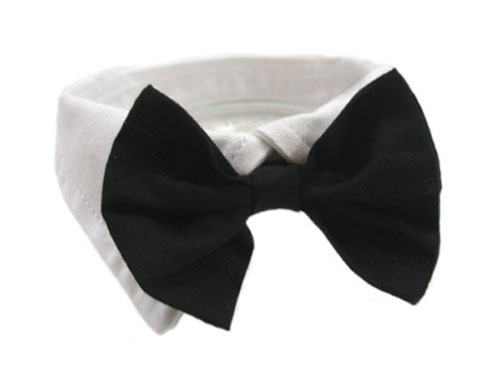 Black Bowtie Dog Collar