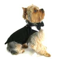 Black Dog Tuxedo Costume