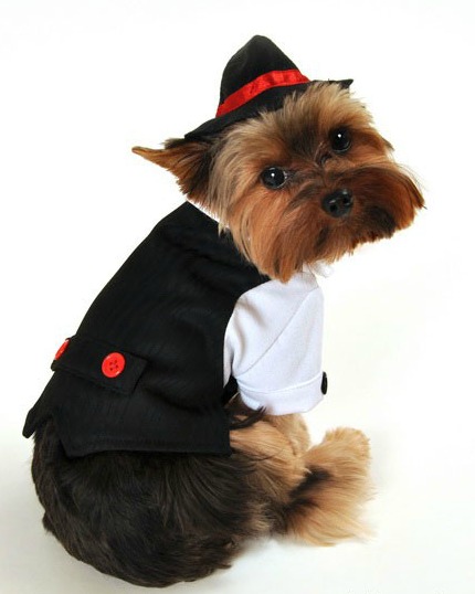 Gangster Halloween Dog Costume