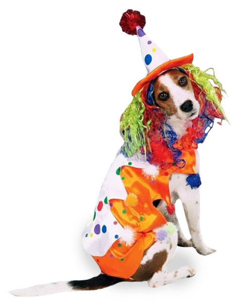 Funny Halloween Clown Dog Costume
