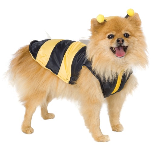 Bumble Bee Halloween Costume For Dogs