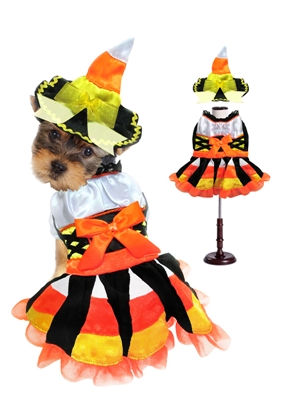 Candy Cravin Witch Dog Halloween Costume
