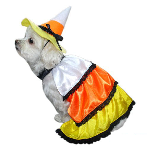 Candy Korn Dress Dog Costume