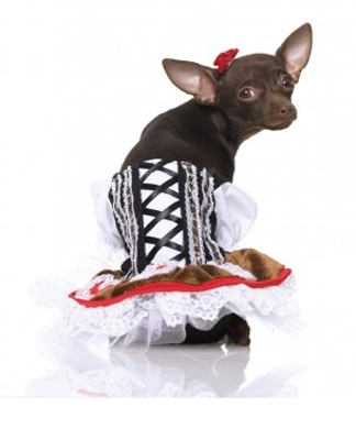Renaissance Corset Dress Halloween Dog Costume