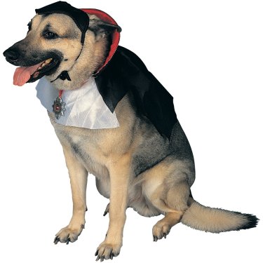 Count Dracula Halloween Costume For Dogs
