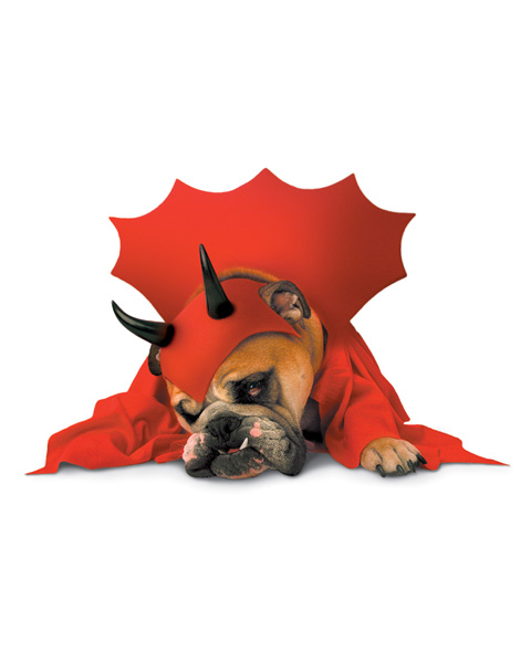 Sneaky Devil Dog Costume
