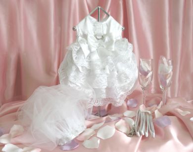 Luxury Wedding Dog Dress with Veil and Leash