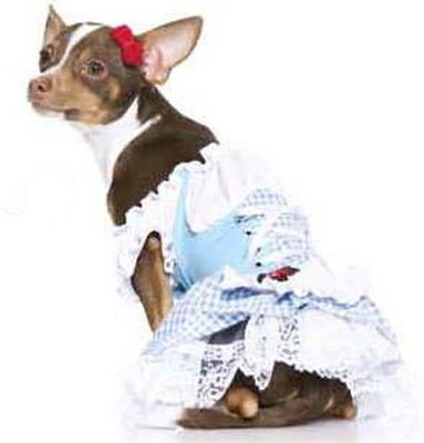 Dorothy Corset Halloween Dog Costume