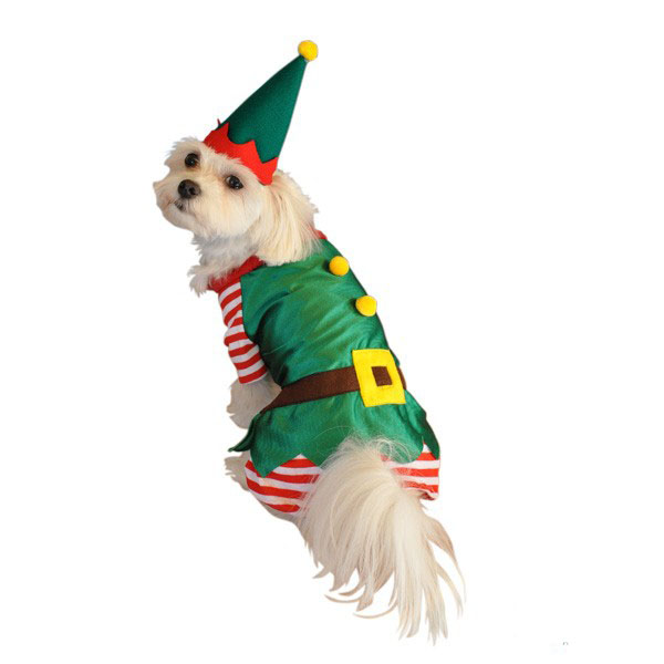 Elf Christmas Dog Costume