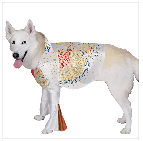 Elvis Dog Halloween Costume