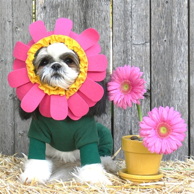 Blooming Flower Dog Costume