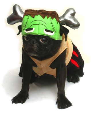 Green Monster Face Dog Costume