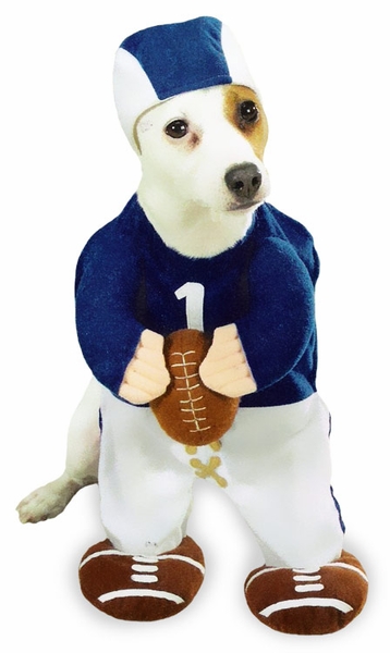 Funny Football Player Dog Costume