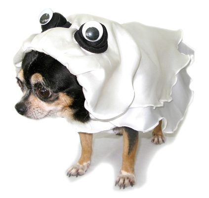 Boo-rific Ghost Dog Costume