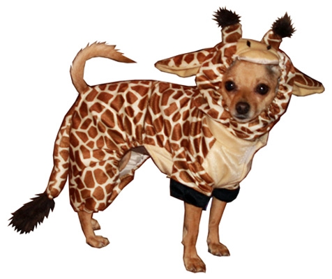 Giraffe Dog Costume