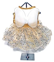 Gold Fairy Dog Dress Costume With Wings