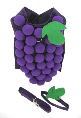 Grapie Grape Dog Costume
