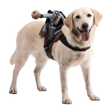 Headless Horseman Dog Costume