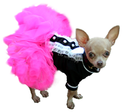 Madison Dog Pettiskirt