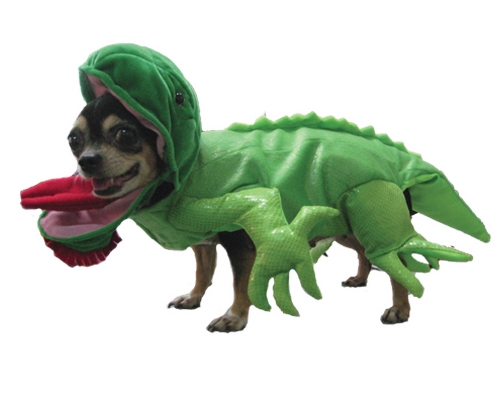 Green Dragon Halloween Dog Costume