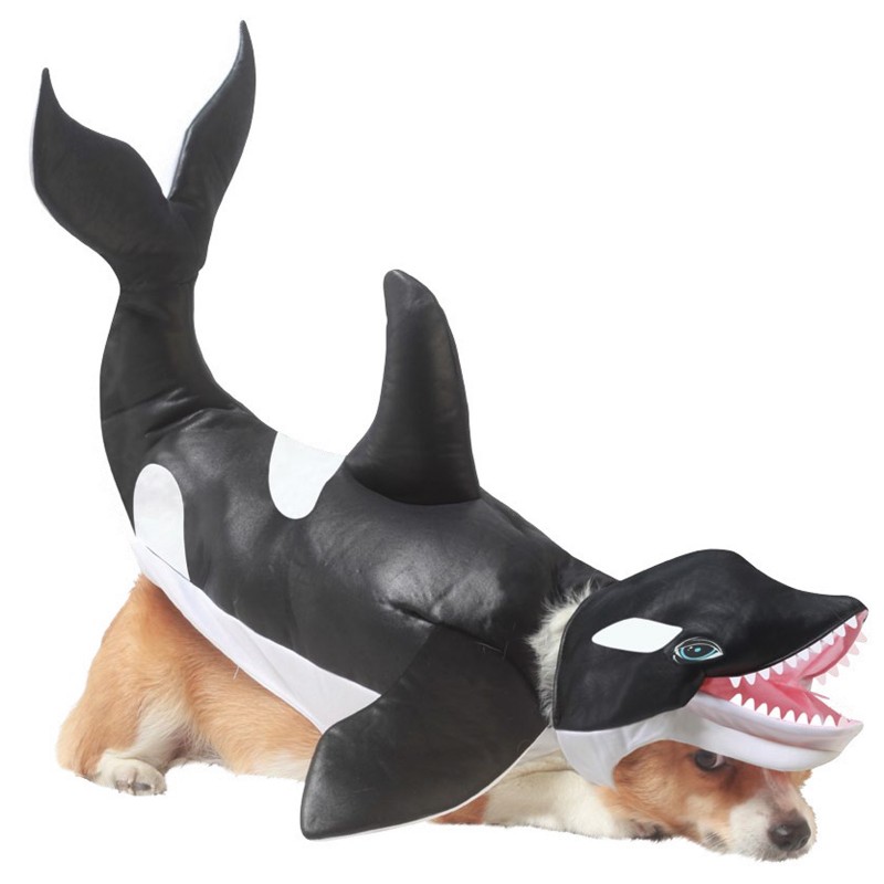 Killer Whale Halloween Dog Costume