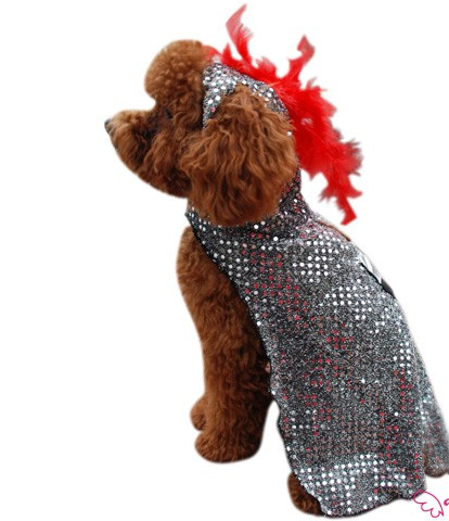 Knight Halloween Dog Costume