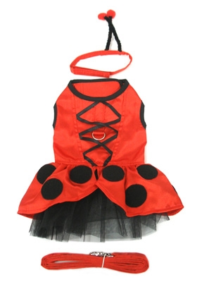 Fairy Ladybug  Dog Costume