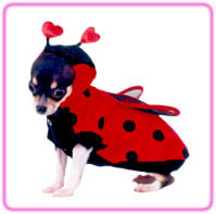 LadyBug Dog Costume With Wings