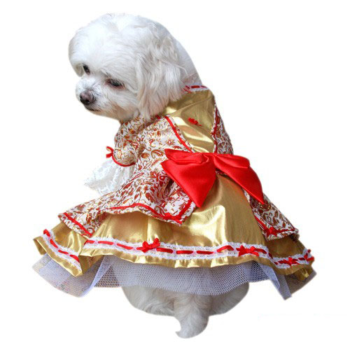 Lady Marie Dog Costume