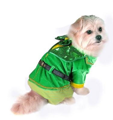 Leprechaun Dog Costume