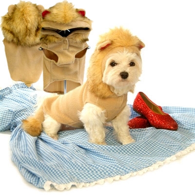 Courageous Lion Dog Costume
