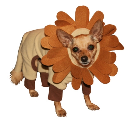 Mane Crazy Lion Dog Costume