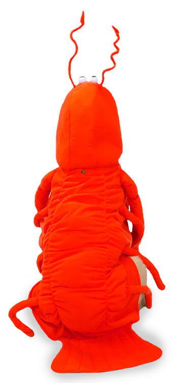 Lobster Dog Costume