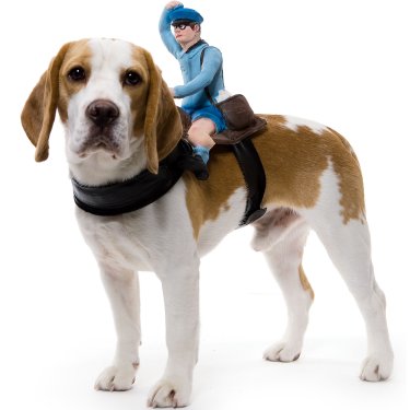 Mailman Halloween Costume For Dogs
