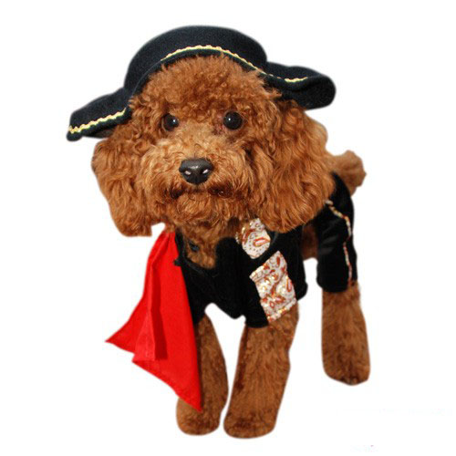 Matador Dog Costume
