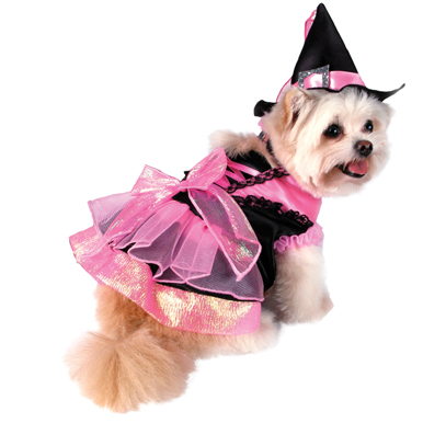 Kamila The Witch Dog Halloween Costume