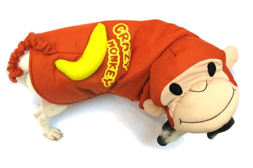 Curious Monkey Dog Costume