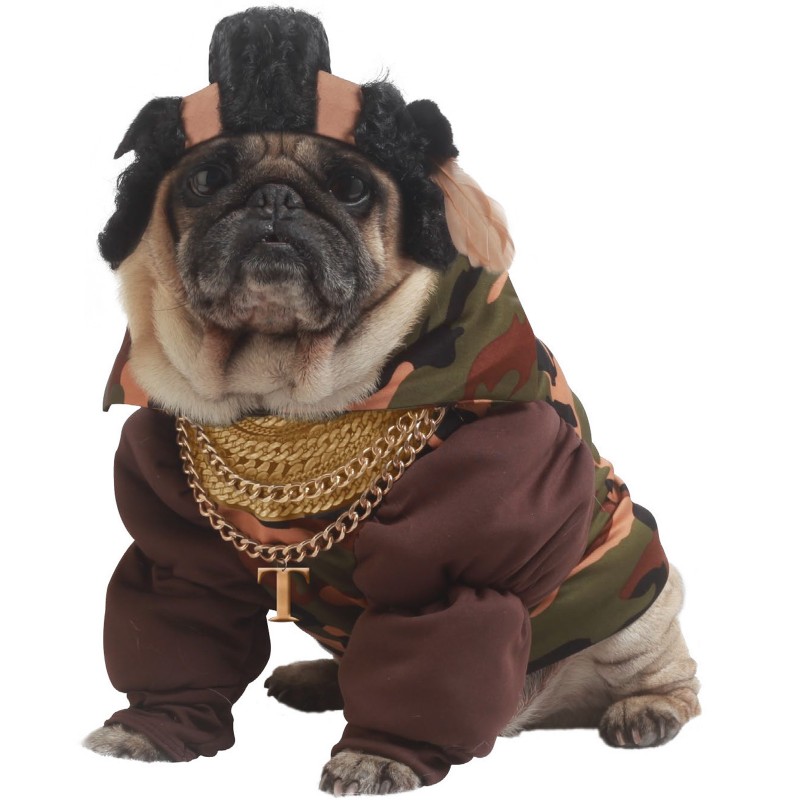 Mr T Inspired Halloween Dog Costume