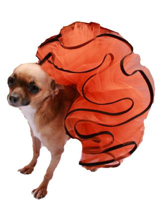Jack O Lantern Dog Tutu